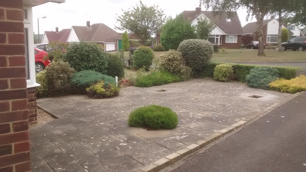 Front garden without weeds after