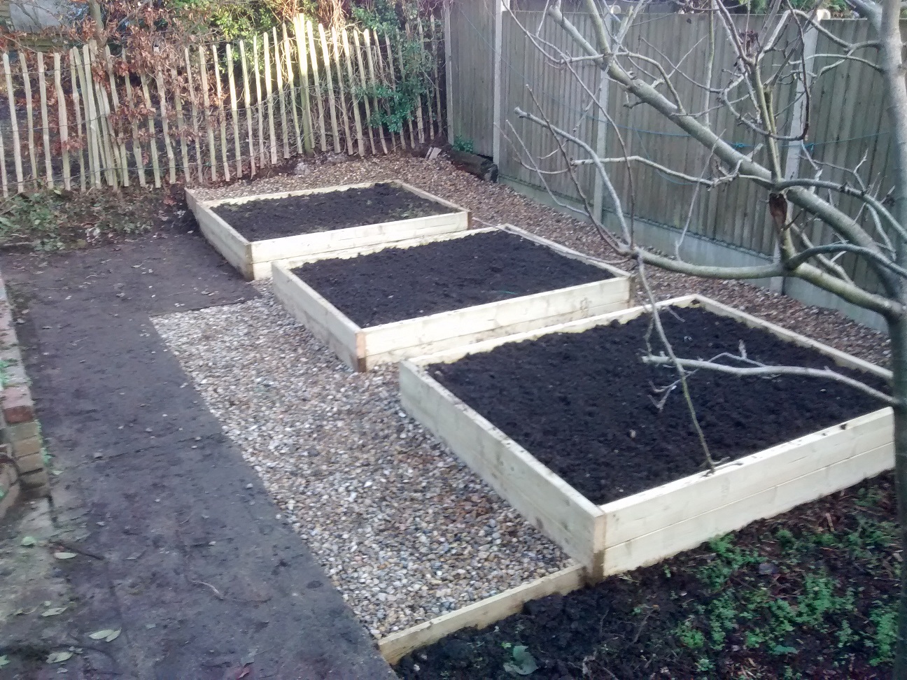 3 raised beds after
