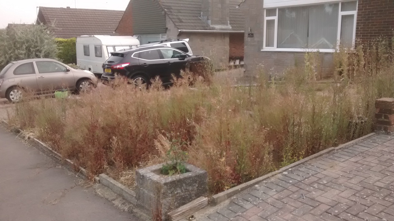 Untidy and weedy front garden in Allington
