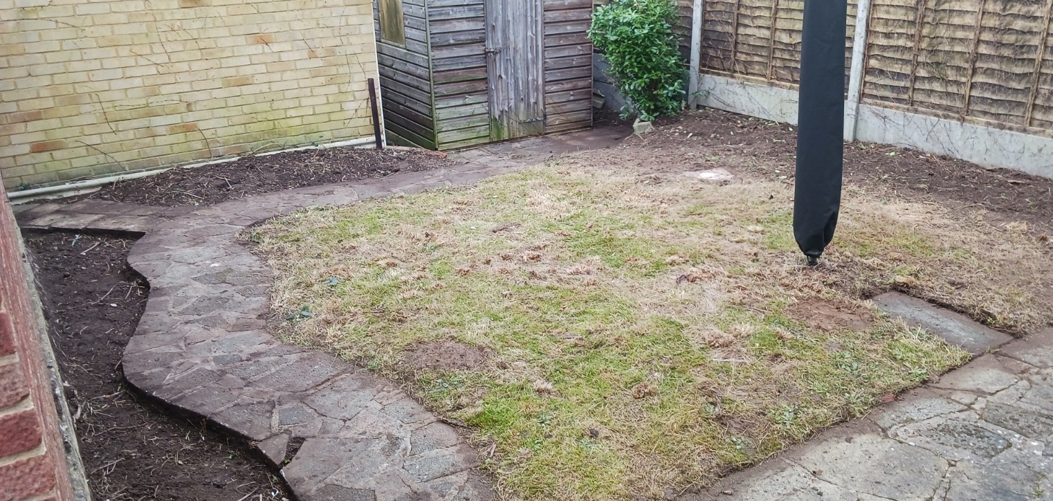 Garden after clear